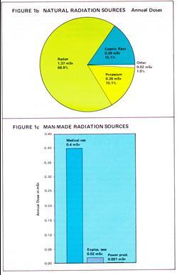 Natural Radiation Slide 2